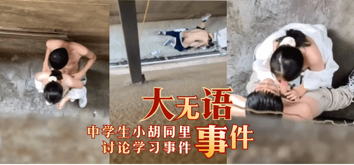 【大无语事件】中学生小胡同里讨论学习事件