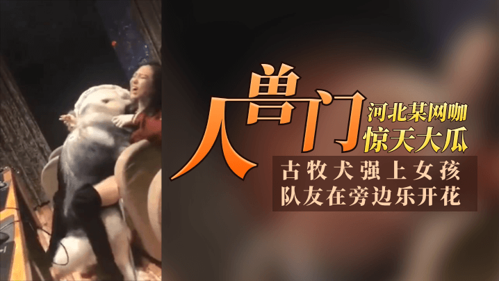 【12.11惊天大瓜】河北某网咖“人兽门”！古牧犬强上女孩队友再旁边乐开花青年人太会玩了！